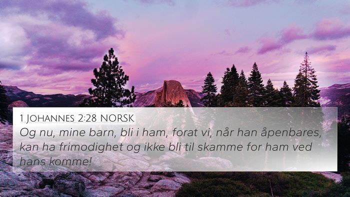 1 Johannes 2:28 NORSK Bible Verse Image