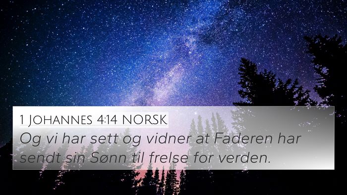 1 Johannes 4:14 NORSK Bible Verse Image