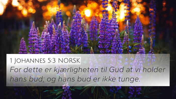 1 Johannes 5:3 NORSK Bible Verse Image