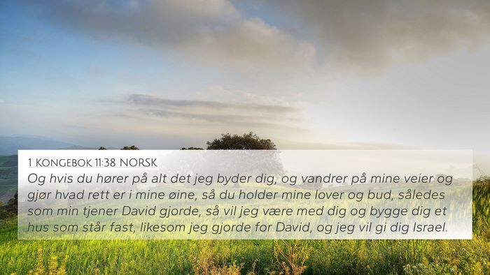1 Kongebok 11:38 NORSK Bible Verse Image