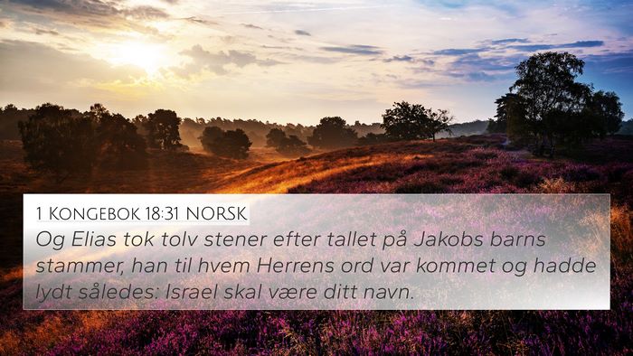 1 Kongebok 18:31 NORSK Bible Verse Image
