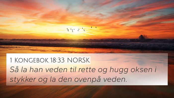 1 Kongebok 18:33 NORSK Bible Verse Image