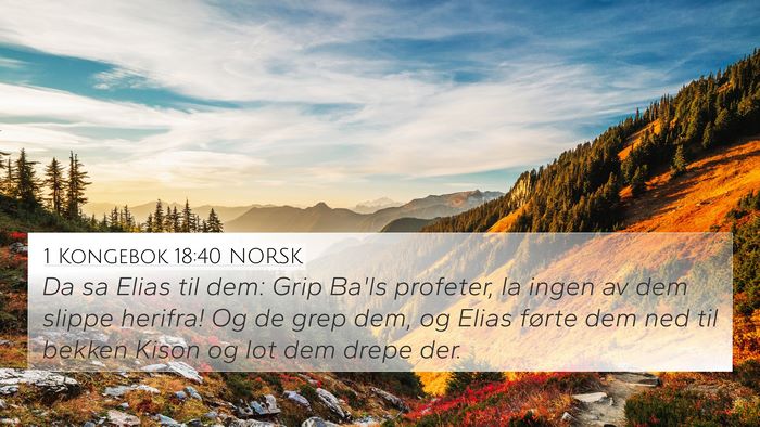 1 Kongebok 18:40 NORSK Bible Verse Image