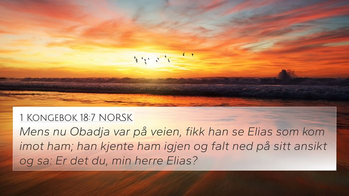 1 Kongebok 18:7 NORSK Bible Verse Image