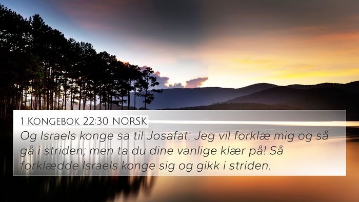 1 Kongebok 22:30 NORSK Bible Verse Image