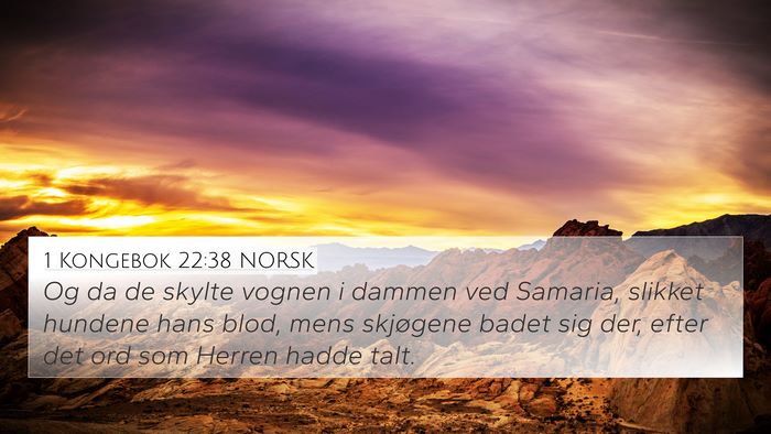 1 Kongebok 22:38 NORSK Bible Verse Image