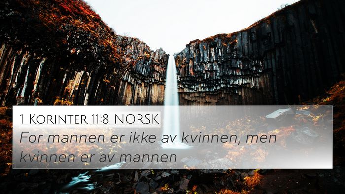 1 Korinter 11:8 NORSK Bible Verse Image