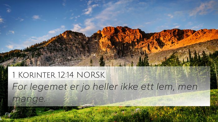 1 Korinter 12:14 NORSK Bible Verse Image