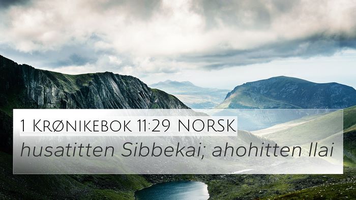 1 Krønikebok 11:29 NORSK Bible Verse Image