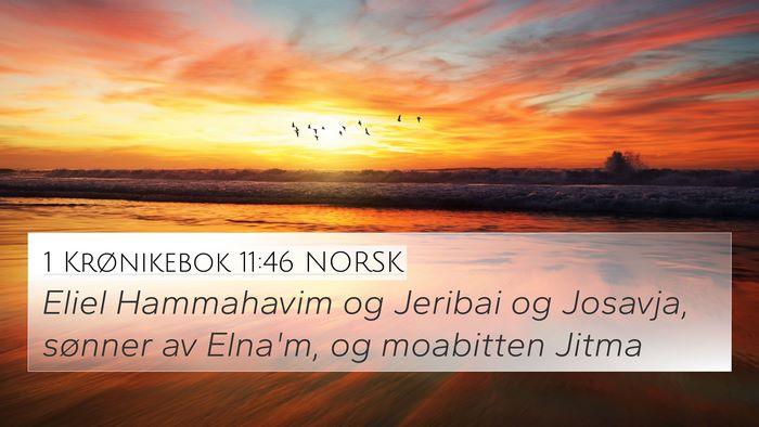 1 Krønikebok 11:46 NORSK 4K Wallpaper - Eliel Hammahavim og Jeribai og Josavja, sønner - 4K Wallpaper Bible Verse