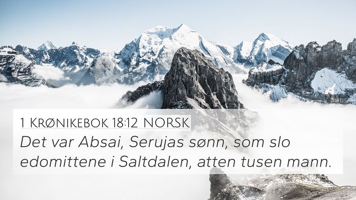 1 Krønikebok 18:12 NORSK Bible Verse Image