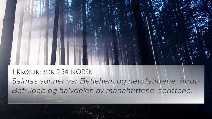 1 Krønikebok 2:54 NORSK Bible Verse Image