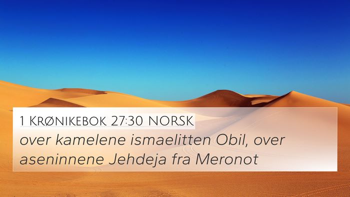 1 Krønikebok 27:30 NORSK 4K Wallpaper - over kamelene ismaelitten Obil, over aseninnene - 4K Wallpaper Bible Verse