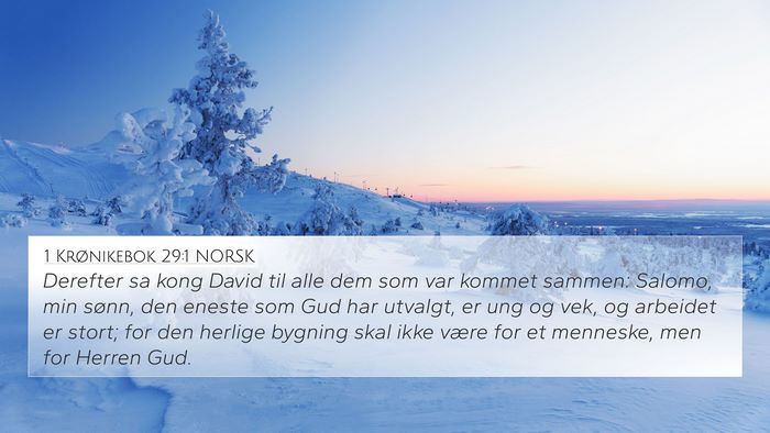1 Krønikebok 29:1 NORSK Bible Verse Image