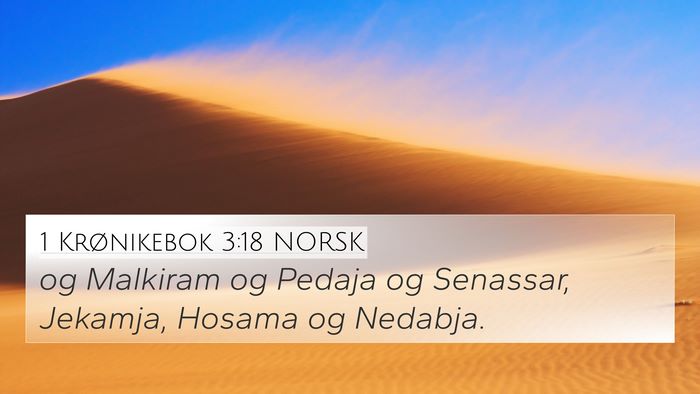 1 Krønikebok 3:18 NORSK 4K Wallpaper - og Malkiram og Pedaja og Senassar, Jekamja, - 4K Wallpaper Bible Verse
