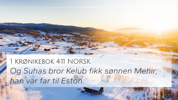 1 Krønikebok 4:11 NORSK 4K Wallpaper - Og Suhas bror Kelub fikk sønnen Mehir; han var - 4K Wallpaper Bible Verse