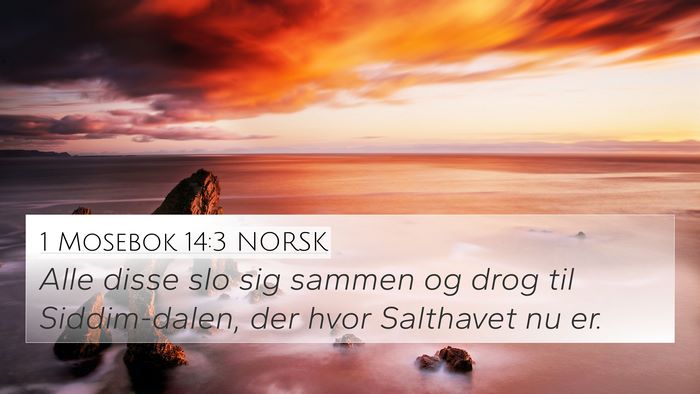 1 Mosebok 14:3 NORSK Bible Verse Image