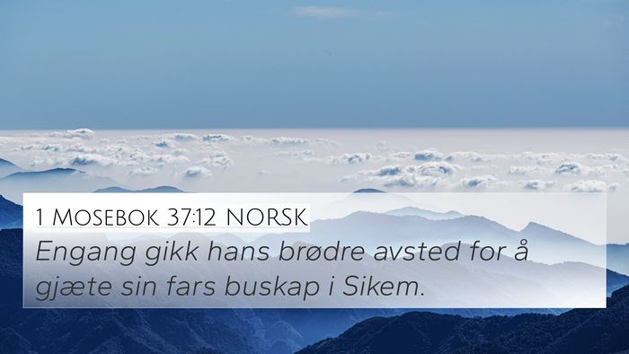 1 Mosebok 37:12 NORSK Bible Verse Image