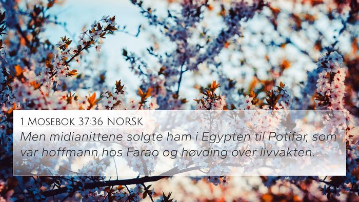 1 Mosebok 37:36 NORSK Bible Verse Image