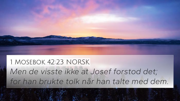 1 Mosebok 42:23 NORSK Bible Verse Image