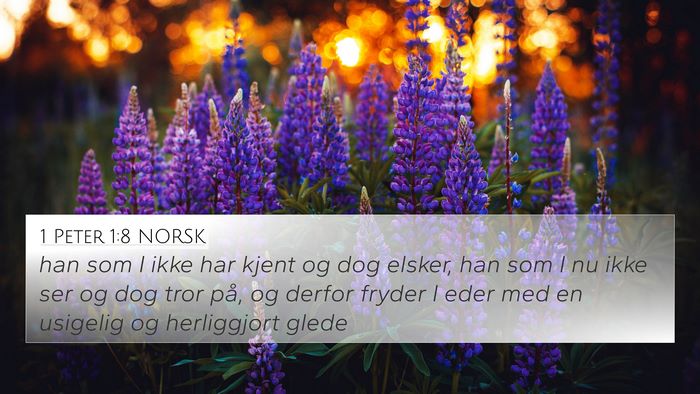 1 Peter 1:8 NORSK Bible Verse Image