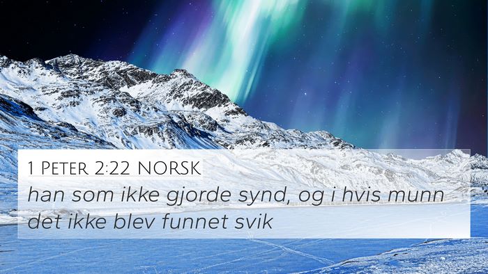 1 Peter 2:22 NORSK Bible Verse Image