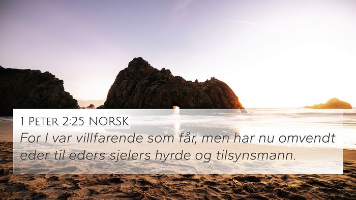 1 Peter 2:25 NORSK Bible Verse Image
