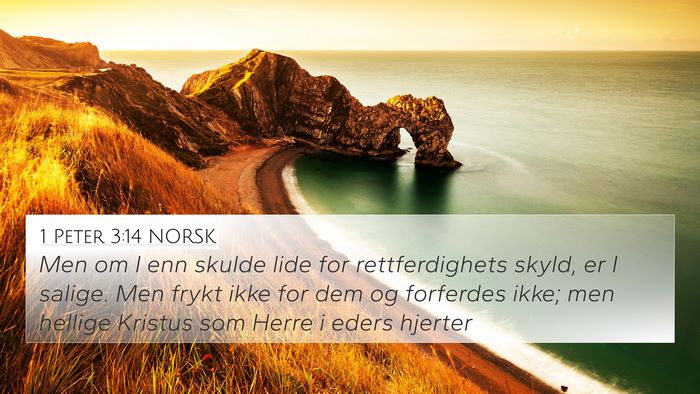 1 Peter 3:14 NORSK Bible Verse Image