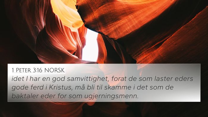1 Peter 3:16 NORSK Bible Verse Image