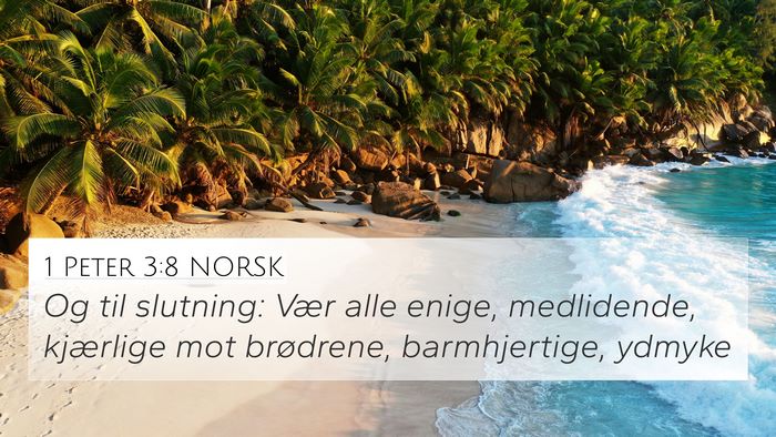 1 Peter 3:8 NORSK Bible Verse Image