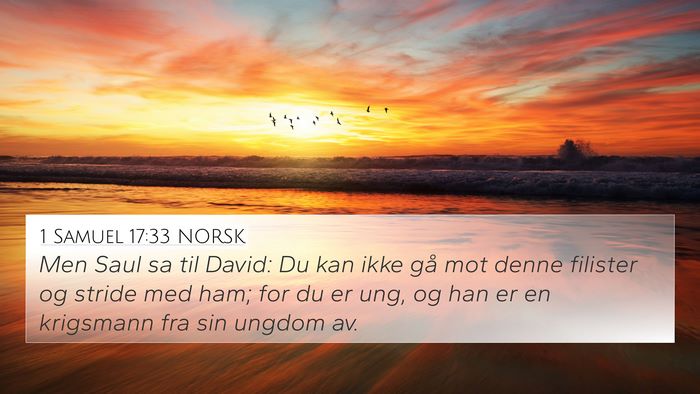 1 Samuel 17:33 NORSK Bible Verse Image