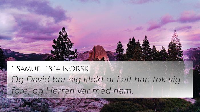 1 Samuel 18:14 NORSK Bible Verse Image