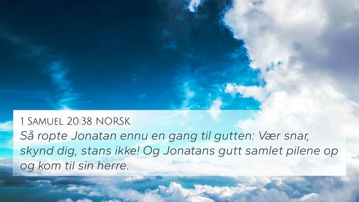 1 Samuel 20:38 NORSK Bible Verse Image