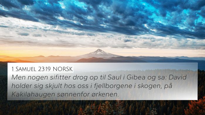 1 Samuel 23:19 NORSK Bible Verse Image