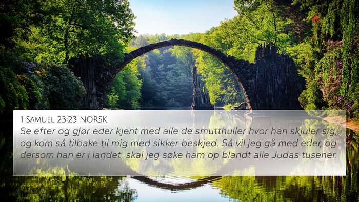 1 Samuel 23:23 NORSK Bible Verse Image
