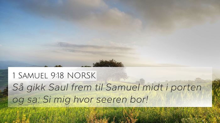 1 Samuel 9:18 NORSK 4K Wallpaper - Så gikk Saul frem til Samuel midt i porten og - 4K Wallpaper Bible Verse