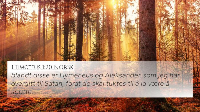 1 Timoteus 1:20 NORSK Bible Verse Image