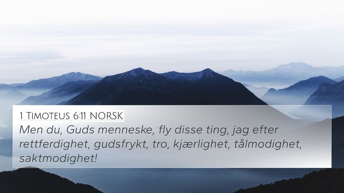 1 Timoteus 6:11 NORSK Bible Verse Image