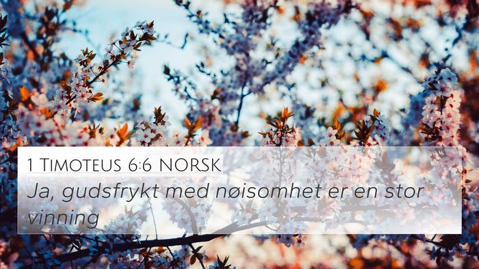 1 Timoteus 6:6 NORSK Bible Verse Image