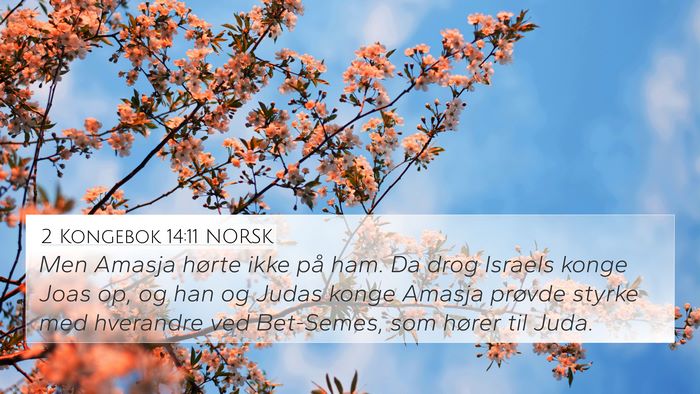 2 Kongebok 14:11 NORSK Bible Verse Image
