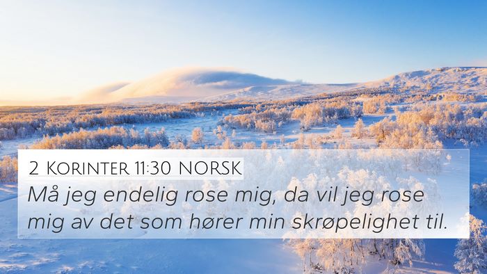 2 Korinter 11:30 NORSK Bible Verse Image