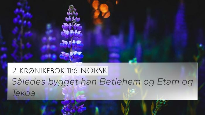 2 Krønikebok 11:6 NORSK Bible Verse Image