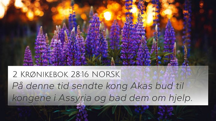 2 Krønikebok 28:16 NORSK Bible Verse Image