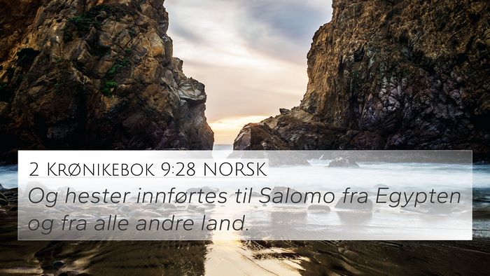 2 Krønikebok 9:28 NORSK Bible Verse Image