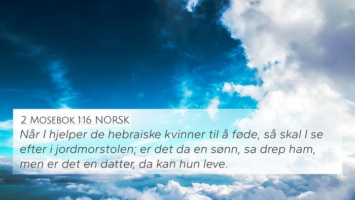 2 Mosebok 1:16 NORSK Bible Verse Image
