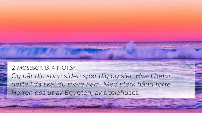 2 Mosebok 13:14 NORSK Bible Verse Image