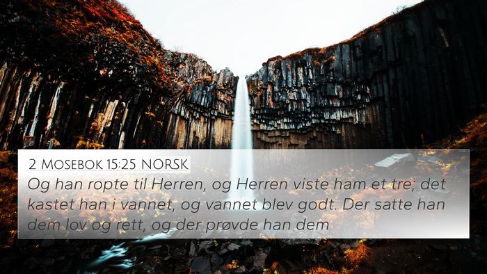 2 Mosebok 15:25 NORSK Bible Verse Image