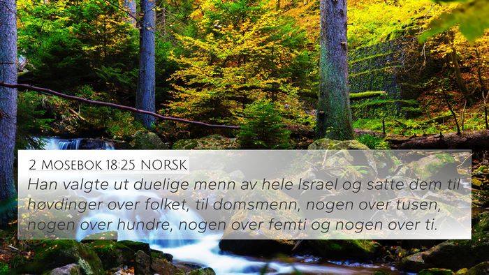 2 Mosebok 18:25 NORSK Bible Verse Image