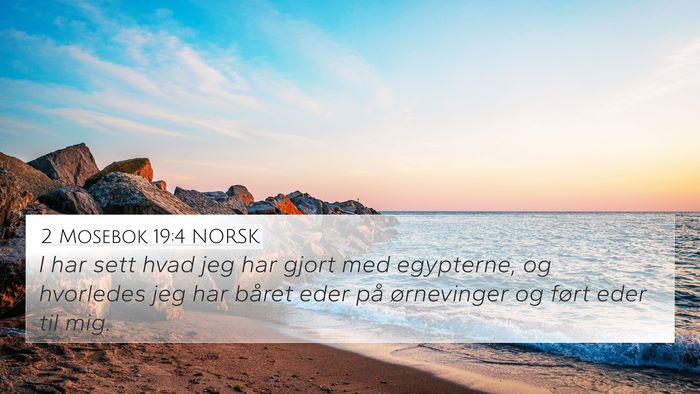 2 Mosebok 19:4 NORSK Bible Verse Image