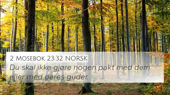 2 Mosebok 23:32 NORSK Bible Verse Image